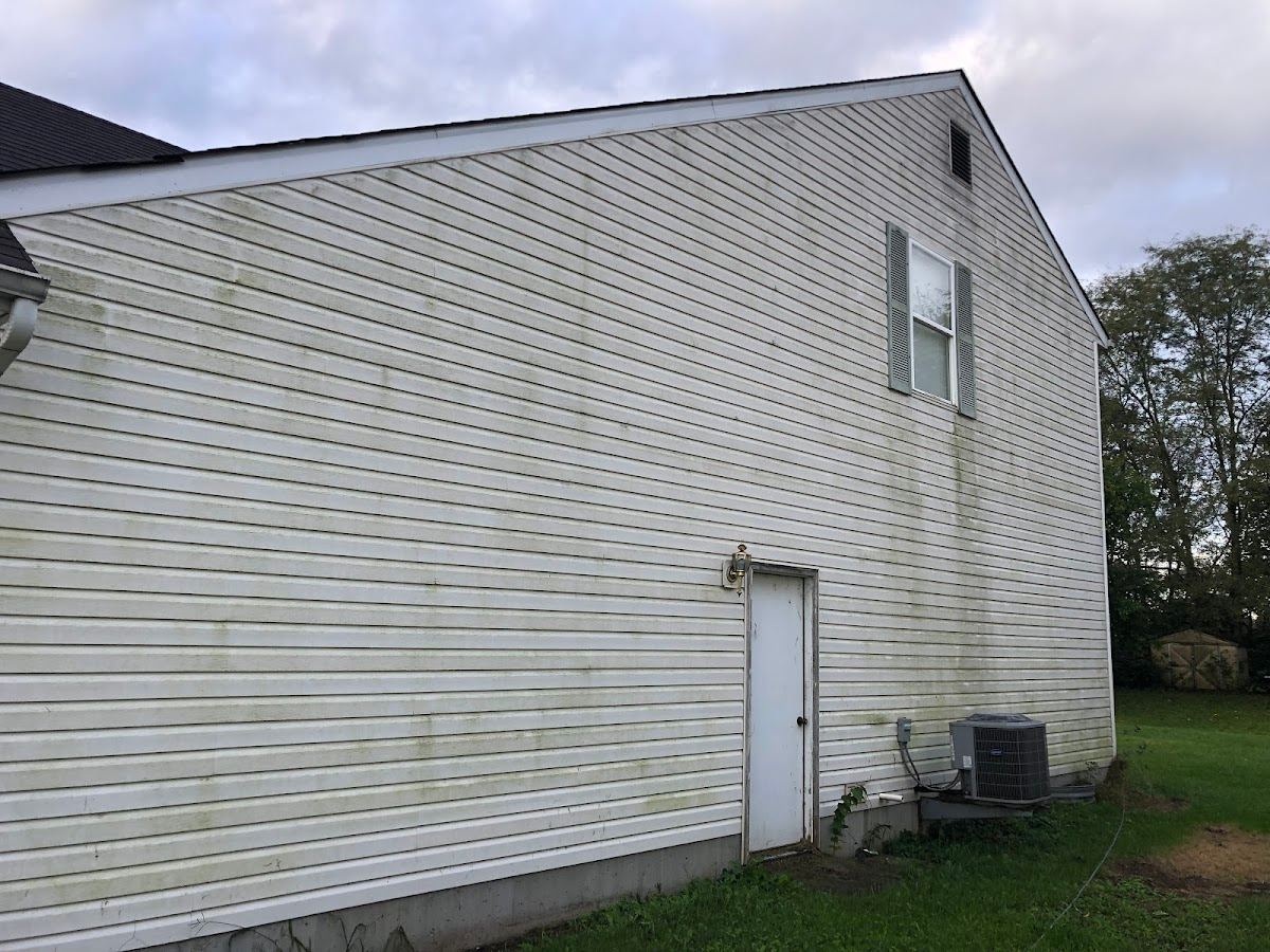 Why Ohio Siding Gets Green Algae and How to Remove It Safely