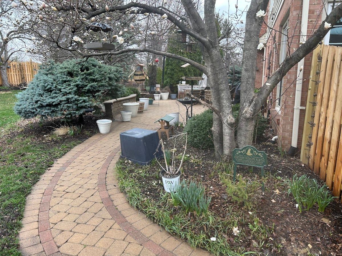 Walkway Cleaning service in Ohio