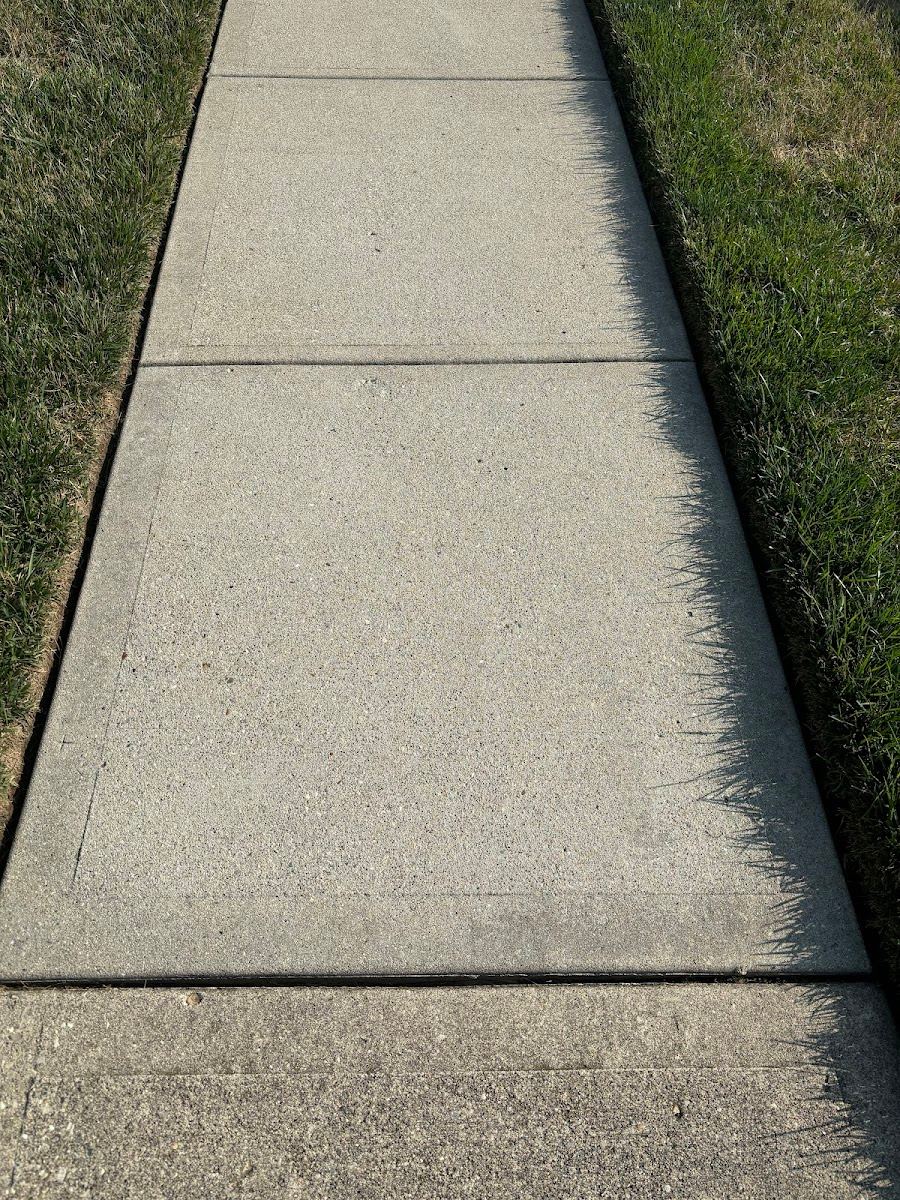 Sidewalk Cleaning service in Ohio